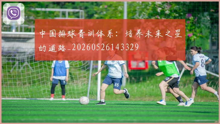 中国排球青训体系：培养未来之星的道路_20260526143329