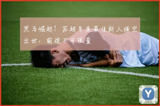 黑马崛起!苏超年度最佳新人横空出世,前途不可限量