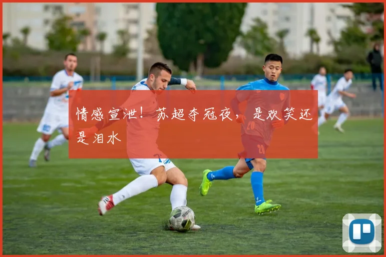 情感宣泄!苏超夺冠夜,是欢笑还是泪水